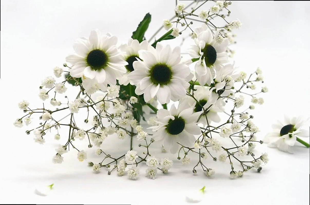 白の祭壇花セット(標準)